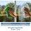 Microfibre Cleaning Cloths (Green,12 Pack) 6