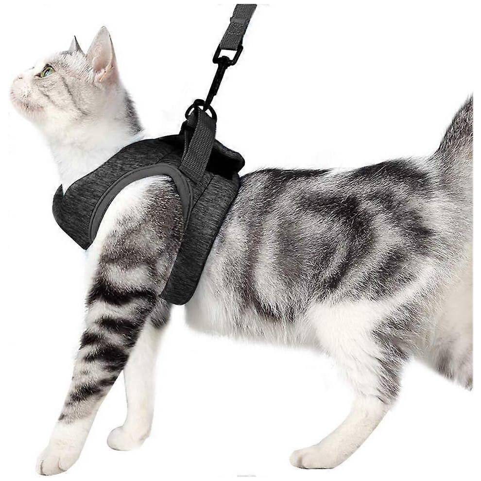 Kikidex (As Show, One Size) Ultralight Cat Harness And Leash Soft And Comfortable For Kitten Leak Proof Harness For Kittens And Rabbits (, M) Gray
