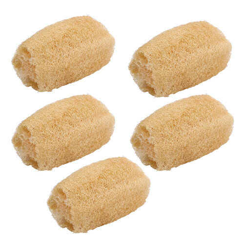 5PCS Loofah Dish Brush Kitchen Scrubber 2