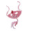 Roze Dinosaurus Katenspeelgoed 2