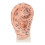 Ear Acupuncture Model Educational Lab Massage with Stand 4