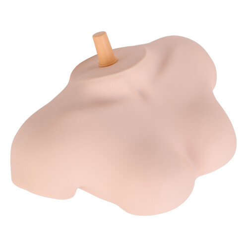 Female Hairdressing Training Mannequin Head 1
