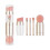 (Electroplated Gold) 5-in-1 Rose Gold Makeup Brush Set 2