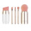 (Electroplated Gold) 5-in-1 Rose Gold Makeup Brush Set 3