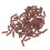 (Brown) 100pcs Gray Silicone Teeth Polishing Granules 4