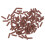 (Brown) 100pcs Gray Silicone Teeth Polishing Granules 3