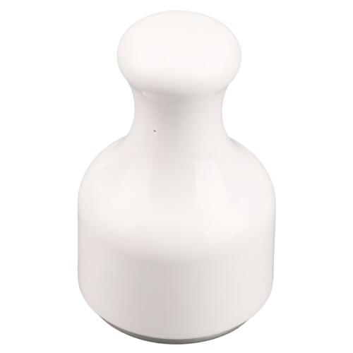 Koelende Ice Face Roller 2