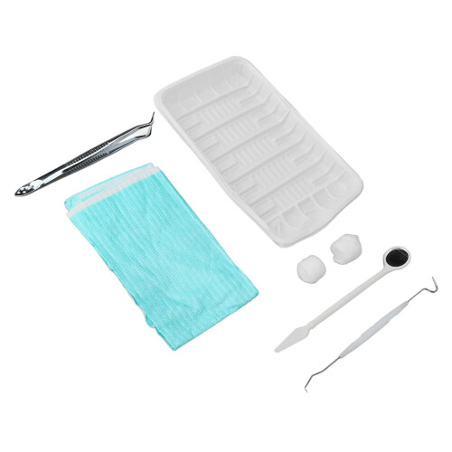 Dental Hygiene Tool Kit Disposable Teeth Cleaning Set Dentist