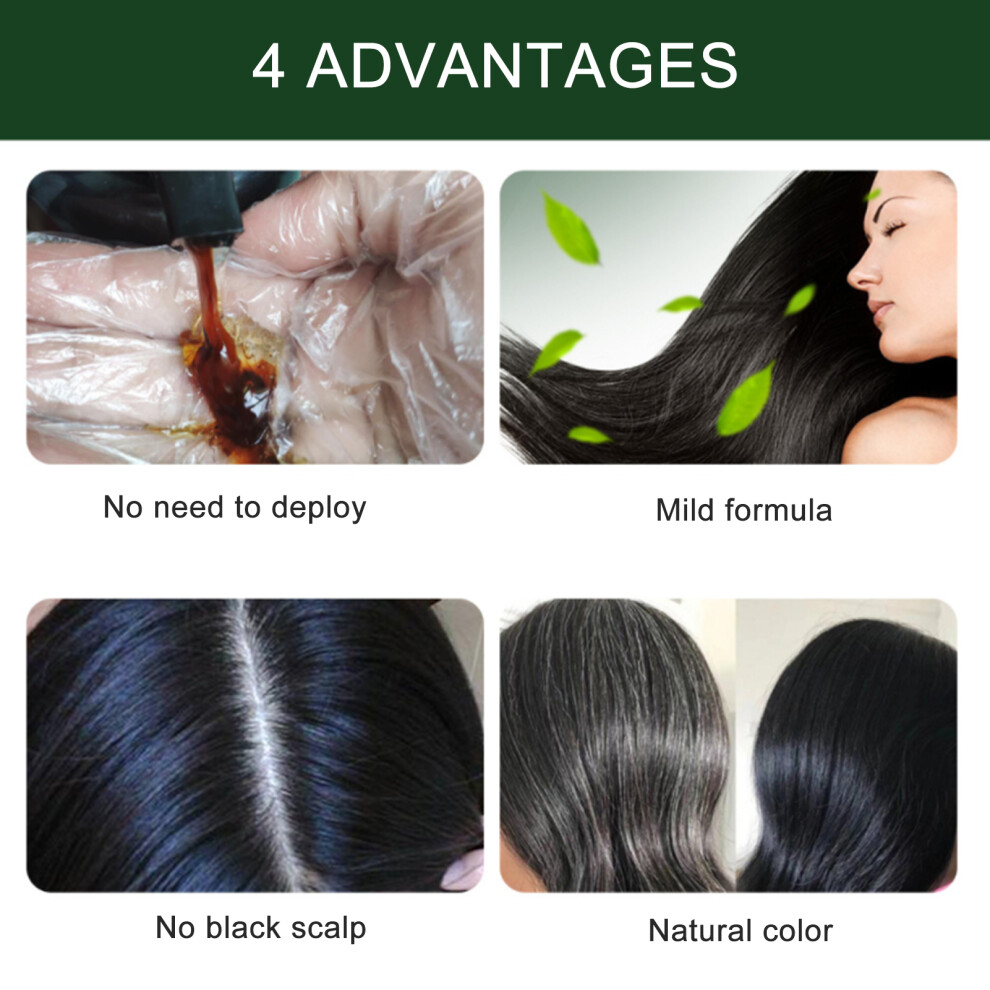Black Augeas 500Ml Foam Hair Dye Shampoo Mild Natural Long-Lasting No