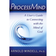 Processmind by Arnold Arnold Mindell Mindell Paperback Book