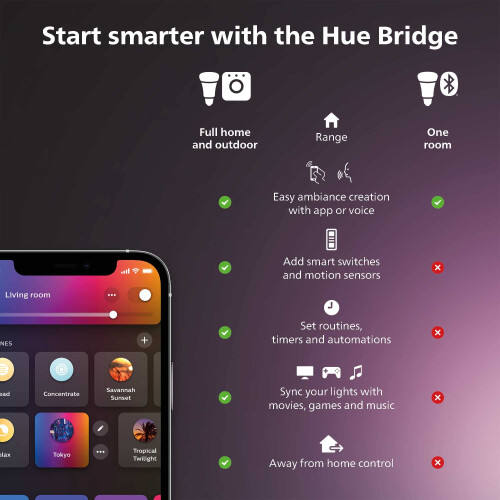 Philips Philips Hue Secure Camera Mount with Ground Spike - 1 pakke 1