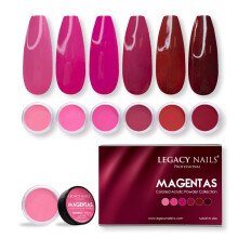 Legacy Nails Professional COLLECTION Kit di polvere acrilica 6 colori Set per nail art per manicure fai da te per estensioni delle unghie in acri