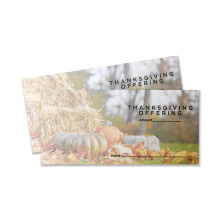 Buste per offerte del Ringraziamento | 3"""" x 6 5/16"""" |