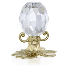 Swarovski Zodiac Vodnr