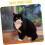 Cat Scratcher Round Cat Bed Kitten Scratcher Reusable Scratch Pad 4