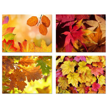 Kleine wereld groeten herfstbladeren kaarten 12 tellen - blanco binnenkant met enveloppen - A2-formaat (5,5 x4,25) - Thanksgiving herfstevenementen H