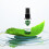30ml Handgel Reizen Draagbaar Snel Droogend 2