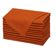 COTTON CRAFT Lot de 12 serviettes en tissu flamm doux 100 % coton Coins en onglet Dner de table de Thanksgiving d'automne Durables et ru