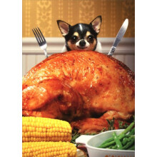 YeegfeyA kleine hond achter groot Turkije - Avanti grappige Chihuahua Thanksgiving Card