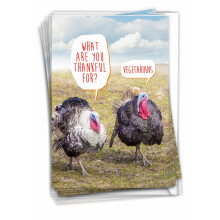 NobleWorks 12 humoristische Thanksgiving-wenskaartenset met 5 x 7 inch enveloppen voor mannen en vrouwen (1 ontwerp van 12 elk) Dankbaar voor vegetar