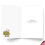 NobleWorks 12 Cartões Engraçados de Ação de Graças c/ Envelopes 5 x 7 Polegadas (1 Design, 12 Cada) 2