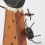 Primitives by Kathy Chunky Sitter - Black Cat 3