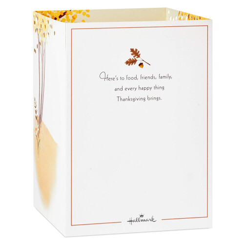 Hallmark 3D Pop Up Thanksgiving Kaart (Geef Dank) 1