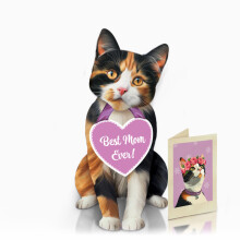 Cartões Pop Up para Animais de Estimação Freshcut Paper, Gato Calico, Presentes para Amantes de Gatos