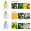 Airkeep Riet Diffuser Set van 3, Jasmijn Munt Gardenia Freesia Peer Olie Diffusers voor Aromatherapie 2