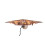 Kurt S. Adler 10-Light Bethlehem Capiz Star Multi-Tip Treetop 5