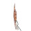 Kurt S. Adler 10-Light Bethlehem Capiz Star Multi-Tip Treetop 4