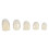50Pcs Front Teeth Resin Crowns 5