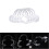 10pcs Disposable Mouth Opener Retractor 5