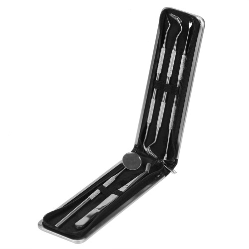 RVS Tandarts Explorer Set Hygiëne Gereedschap 1
