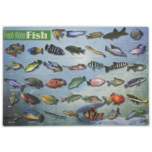 Schmerzloses Lernen, Tischset mit Süßwasserfischen, 30,5 x 43,5 cm