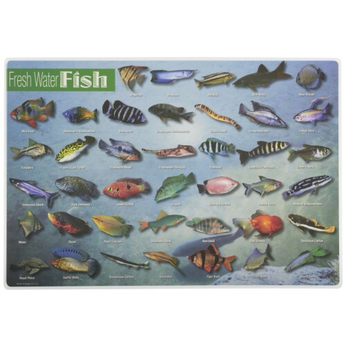 Mats de Aprendizagem Sem Dor Peixes de Água Doce 12 x 17 1/2 polegadas