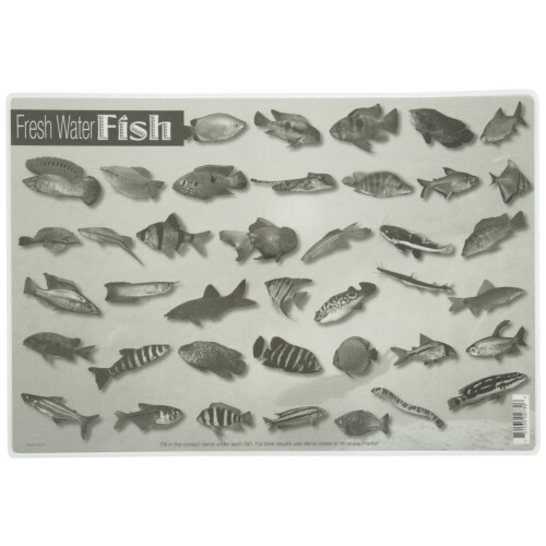 Mats de Aprendizagem Sem Dor Peixes de Água Doce 12 x 17 1/2 polegadas 1