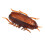 Electronic Roach Toy Battery Powered Vibrating False Cockroach Toy 1
