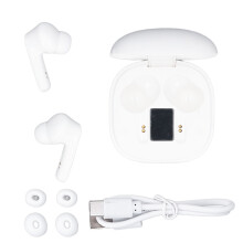 Draagbare Bluetooth Vertaal Oordopjes met Oplaadcase