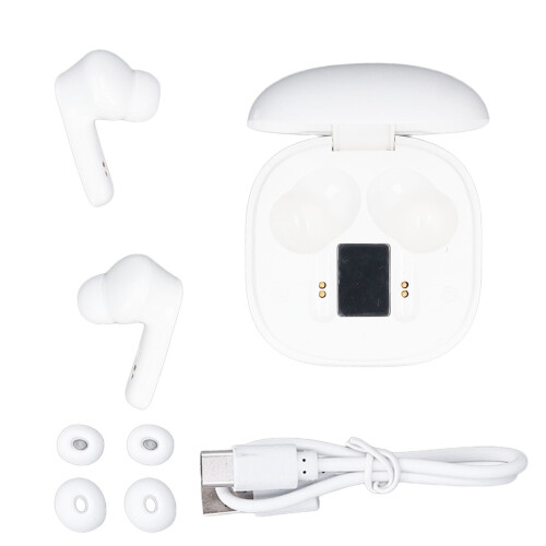 Draagbare Bluetooth Vertaal Oordopjes met Oplaadcase