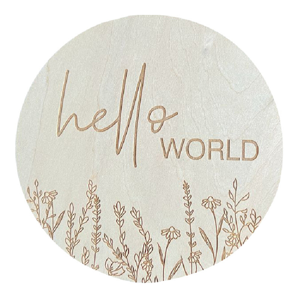 (L6) 5.9in Round Baby Announcement Prop Basswood Hello World Nursery L6