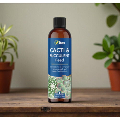 Vitax Cacti & Succulent Liquid 250ml & Soluble 200g Feed 1