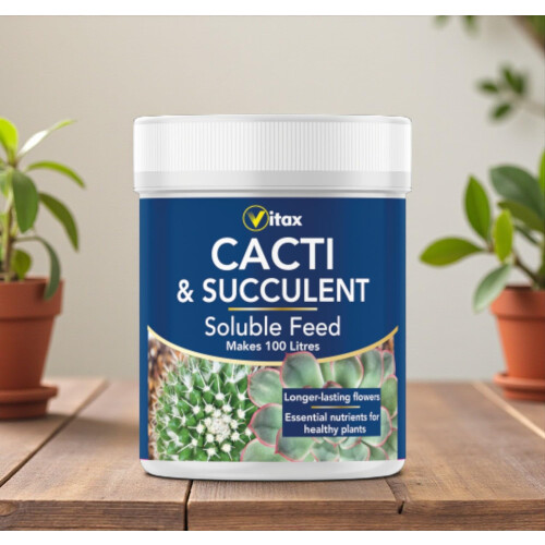Vitax Cacti & Succulent Liquid 250ml & Soluble 200g Feed 2