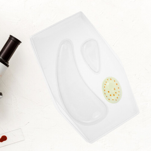 Kit Anatomia Cellula Trasparente Per Insegnamento 2