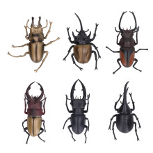 6 Stk Simulatie Insect Speelgoed PVC Halloween Props