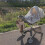 (Bear) Copertura Rete Traspirante per Ombrello Carrello 5