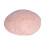 Dino Egg Dig Kit Luminous Models Info Cards 4