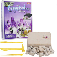 Kids fossiel opgraving kit DIY kristal archeologie