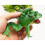 Mini Plastikfrosch Bade-Spielzeug für Babys 5