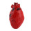 Cuore Umano Finto in Latex per Halloween 1